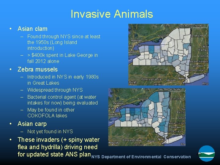 Invasive Animals • Asian clam – Found through NYS since at least the 1950