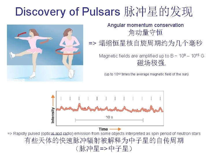 Discovery of Pulsars 脉冲星的发现 Angular momentum conservation 角动量守恒 => 塌缩恒星核自旋周期约为几个毫秒 Magnetic fields are amplified