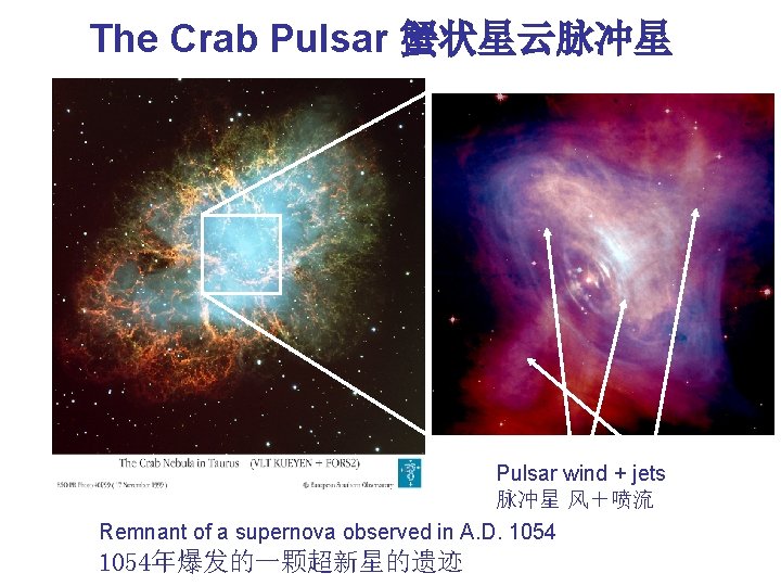 The Crab Pulsar 蟹状星云脉冲星 Pulsar wind + jets 脉冲星 风＋喷流 Remnant of a supernova