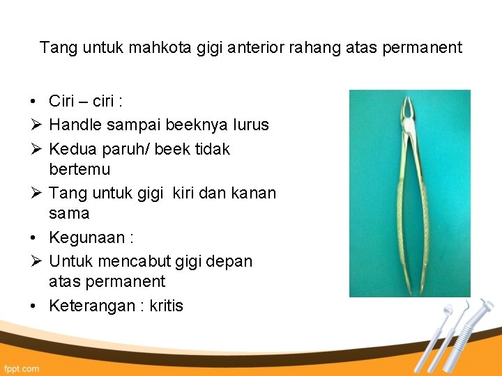 Tang untuk mahkota gigi anterior rahang atas permanent • Ciri – ciri : Ø Tang untuk mahkota gigi anterior rahang atas permanent • Ciri – ciri : Ø