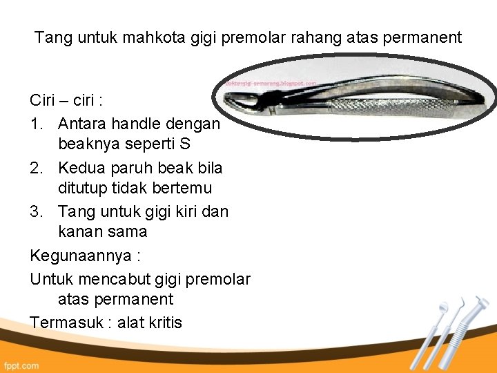Tang untuk mahkota gigi premolar rahang atas permanent Ciri – ciri : 1. Antara Tang untuk mahkota gigi premolar rahang atas permanent Ciri – ciri : 1. Antara