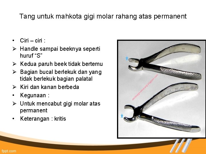 Tang untuk mahkota gigi molar rahang atas permanent • Ciri – ciri : Ø Tang untuk mahkota gigi molar rahang atas permanent • Ciri – ciri : Ø