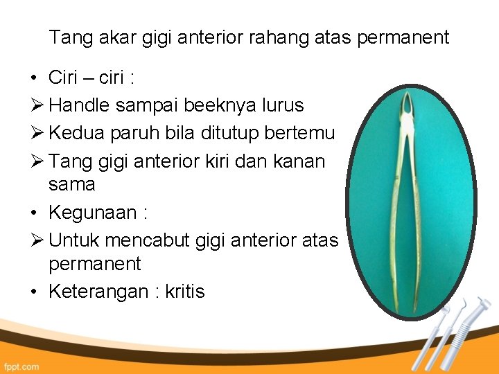 Tang akar gigi anterior rahang atas permanent • Ciri – ciri : Ø Handle Tang akar gigi anterior rahang atas permanent • Ciri – ciri : Ø Handle