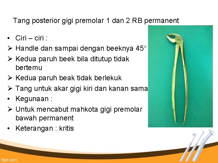 Tang posterior gigi premolar 1 dan 2 RB permanent • Ciri – ciri : Tang posterior gigi premolar 1 dan 2 RB permanent • Ciri – ciri :