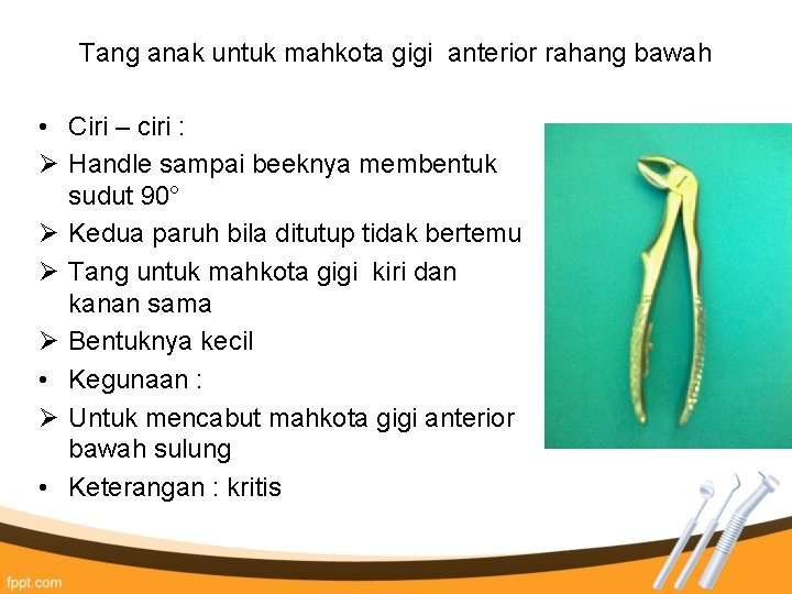Tang anak untuk mahkota gigi anterior rahang bawah • Ciri – ciri : Ø Tang anak untuk mahkota gigi anterior rahang bawah • Ciri – ciri : Ø