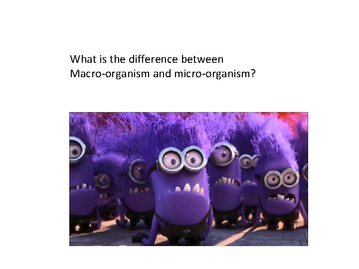 What is the difference between Macro-organism and micro-organism? 