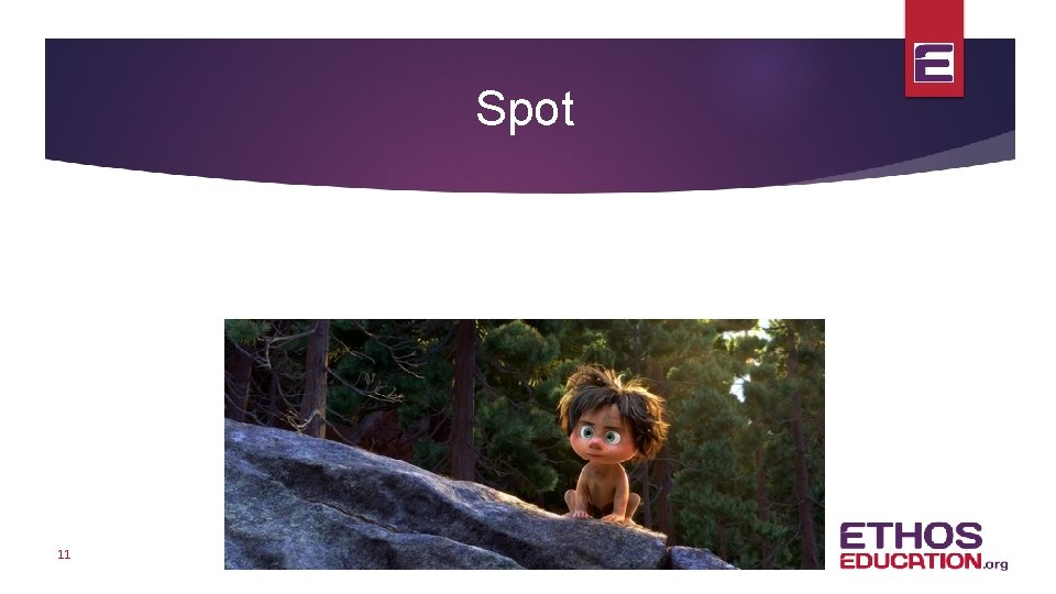 Spot 11 