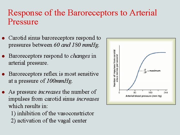 Response of the Baroreceptors to Arterial Pressure l Carotid sinus baroreceptors respond to pressures