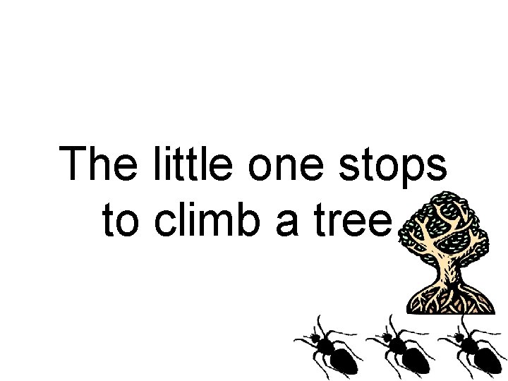 The little one stops to climb a tree, 