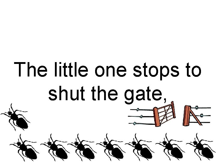 The little one stops to shut the gate, 