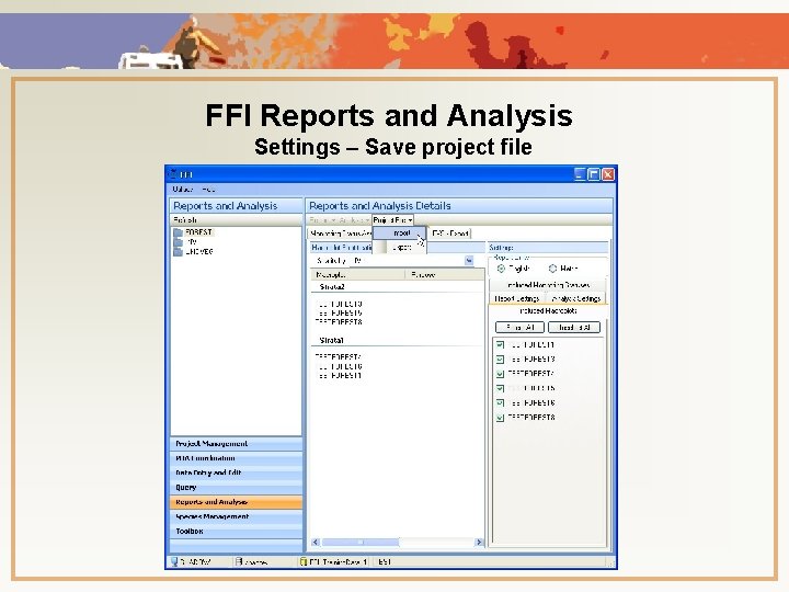 FFI Reports and Analysis Settings – Save project file 