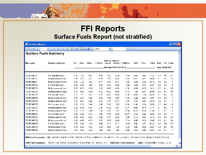 FFI Reports Surface Fuels Report (not stratified) 