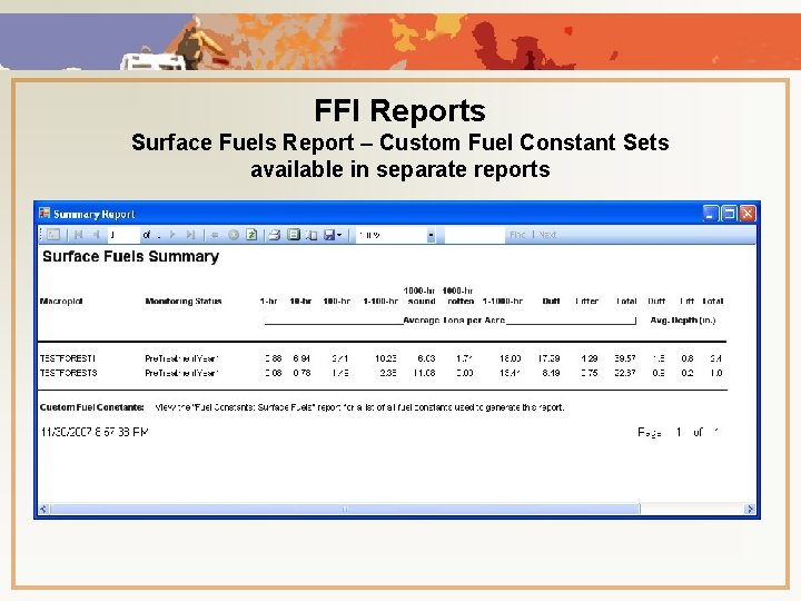 FFI Reports Surface Fuels Report – Custom Fuel Constant Sets available in separate reports