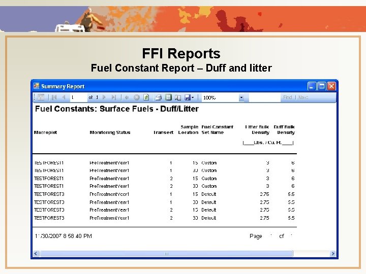 FFI Reports Fuel Constant Report – Duff and litter 