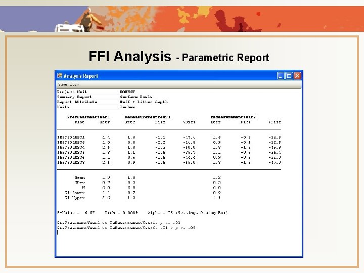 FFI Analysis - Parametric Report 