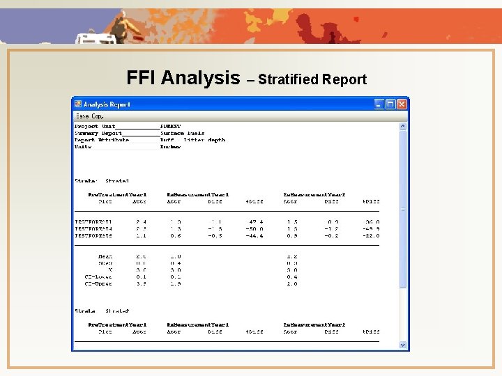 FFI Analysis – Stratified Report 
