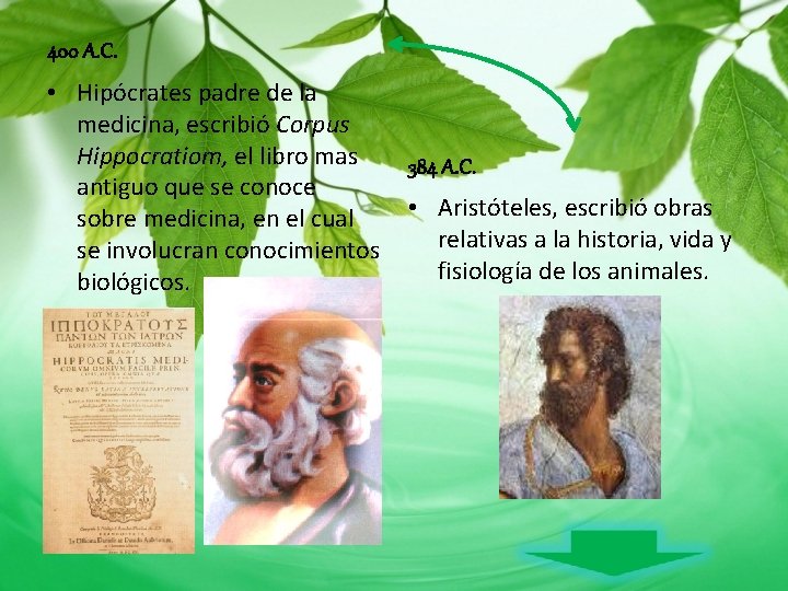 400 A. C. • Hipócrates padre de la medicina, escribió Corpus Hippocratiom, el libro