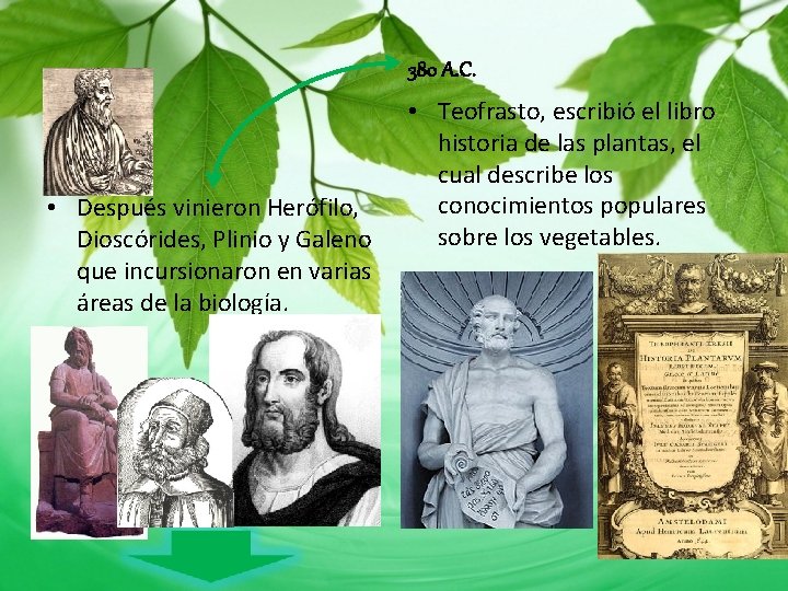 380 A. C. • Después vinieron Herófilo, Dioscórides, Plinio y Galeno que incursionaron en