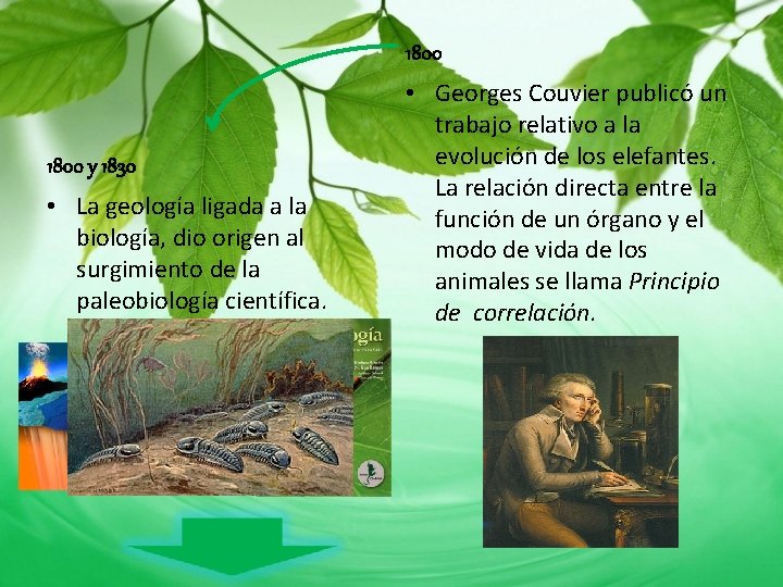 1800 y 1830 • La geología ligada a la biología, dio origen al surgimiento