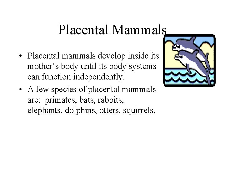 Placental Mammals • Placental mammals develop inside its mother’s body until its body systems