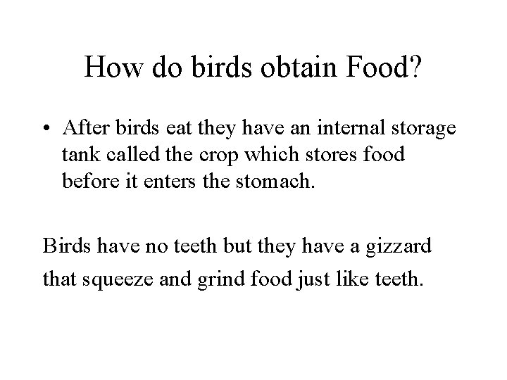 How do birds obtain Food? • After birds eat they have an internal storage