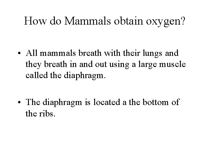 How do Mammals obtain oxygen? • All mammals breath with their lungs and they