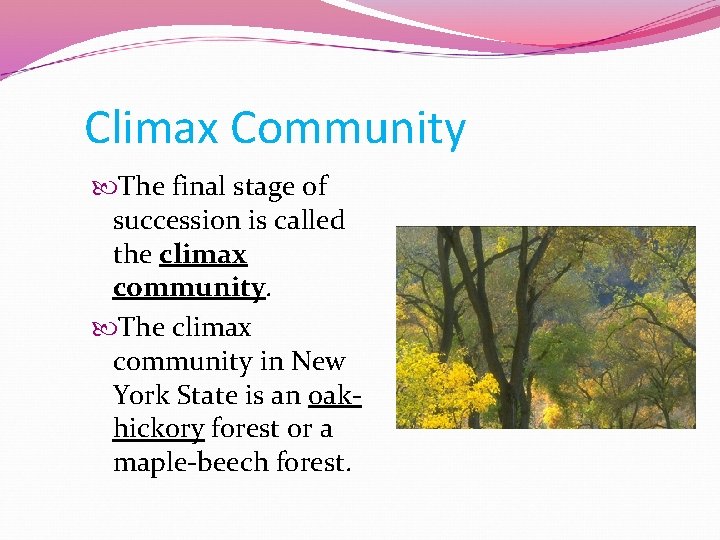 Climax Community The final stage of succession is called the climax community. The climax