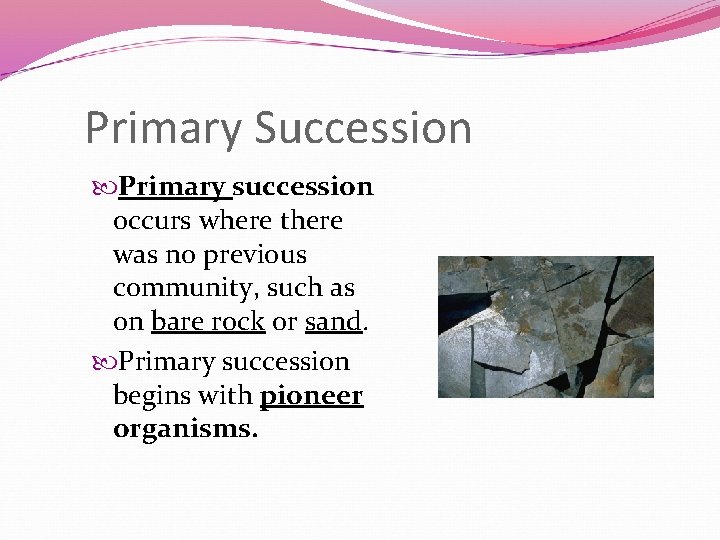 Primary Succession Primary succession occurs where there was no previous community, such as on