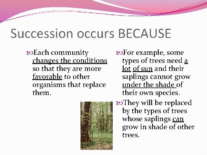 Succession occurs BECAUSE Each community changes the conditions so that they are more favorable