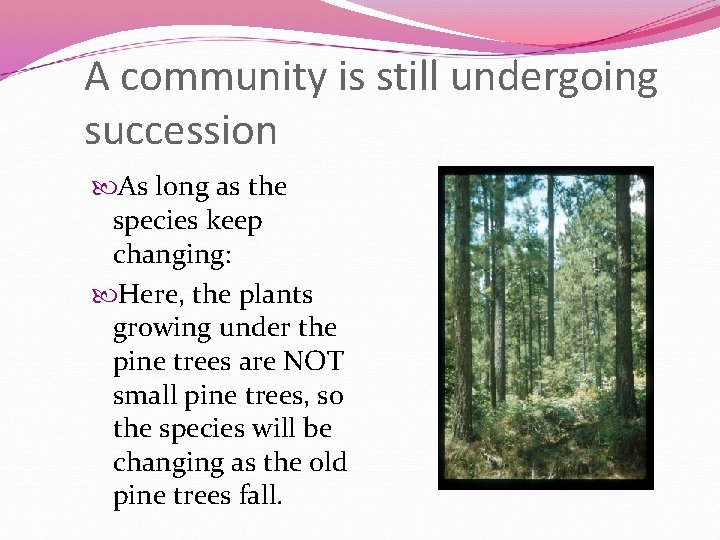A community is still undergoing succession As long as the species keep changing: Here,
