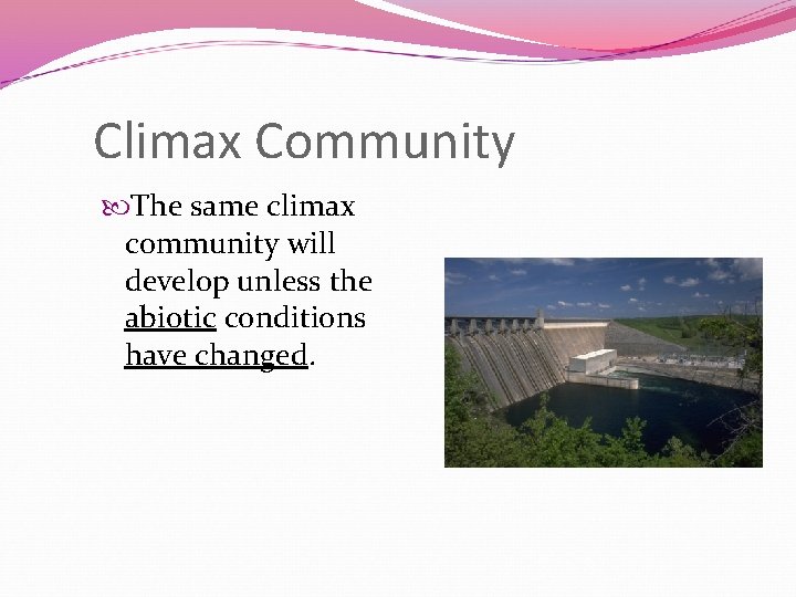 Climax Community The same climax community will develop unless the abiotic conditions have changed.