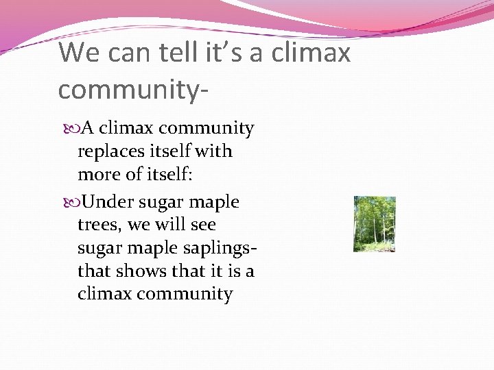 We can tell it’s a climax community A climax community replaces itself with more