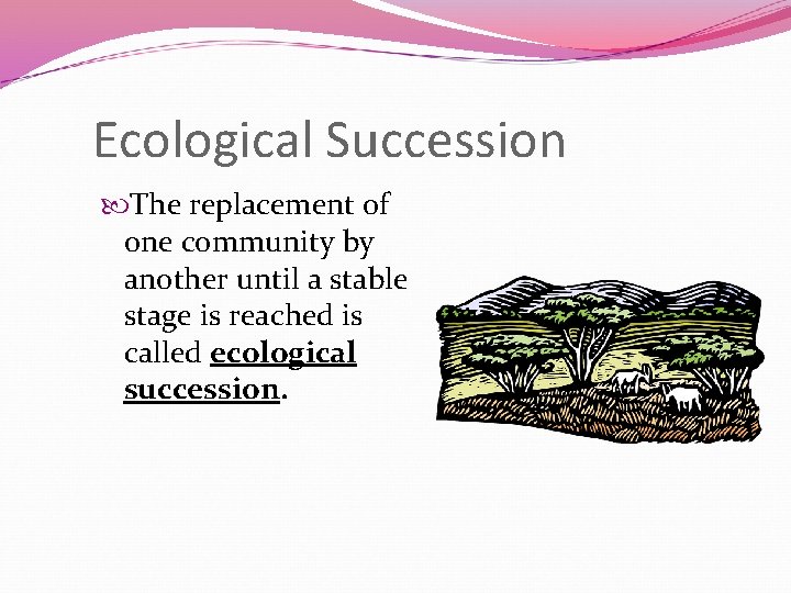 Ecological Succession The replacement of one community by another until a stable stage is