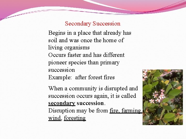 Secondary Succession Begins in a place that already has soil and was once the