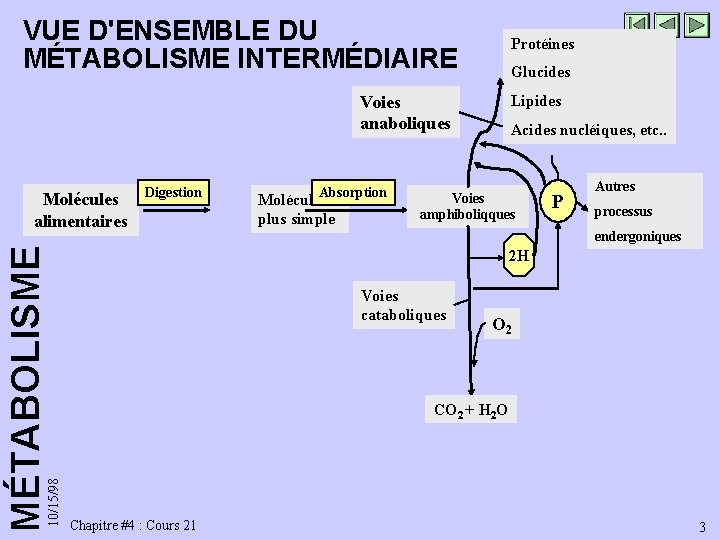 VUE D'ENSEMBLE DU MÉTABOLISME INTERMÉDIAIRE Protéines Glucides Voies anaboliques 10/15/98 MÉTABOLISME Molécules alimentaires Digestion