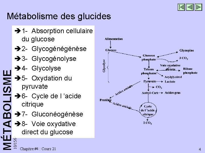 è 1 - Absorption cellulaire du glucose è 2 - Glycogénégénèse è 3 -