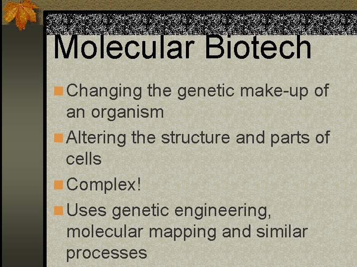 Molecular Biotech n Changing the genetic make-up of an organism n Altering the structure