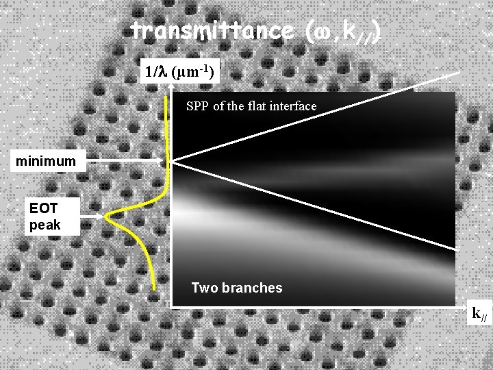 transmittance (w, k//) 1/l (µm-1) SPP of the flat interface minimum EOT peak Two