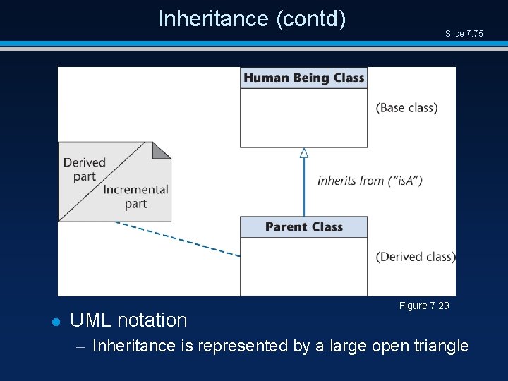 Inheritance (contd) l UML notation Slide 7. 75 Figure 7. 29 – Inheritance is