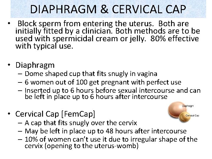 DIAPHRAGM & CERVICAL CAP • Block sperm from entering the uterus. Both are initially