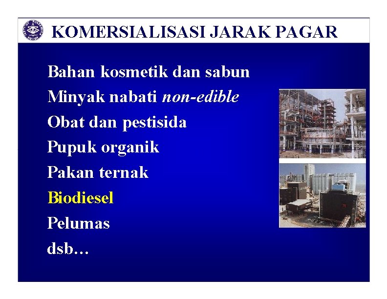 KOMERSIALISASI JARAK PAGAR Bahan kosmetik dan sabun Minyak nabati non-edible Obat dan pestisida Pupuk