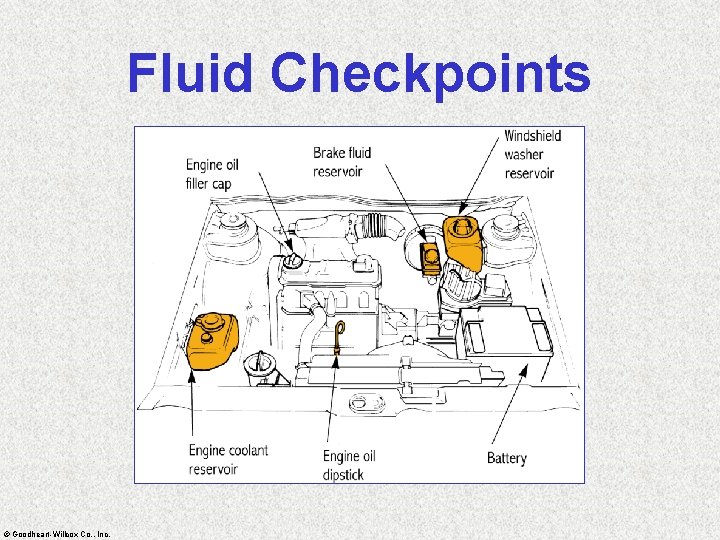 Fluid Checkpoints © Goodheart-Willcox Co. , Inc. 