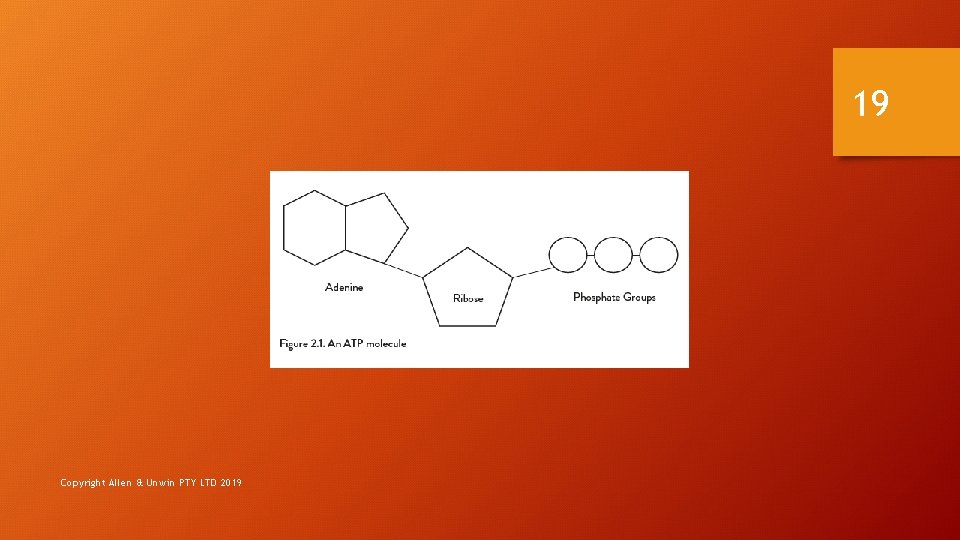 19 Copyright Allen & Unwin PTY LTD 2019 