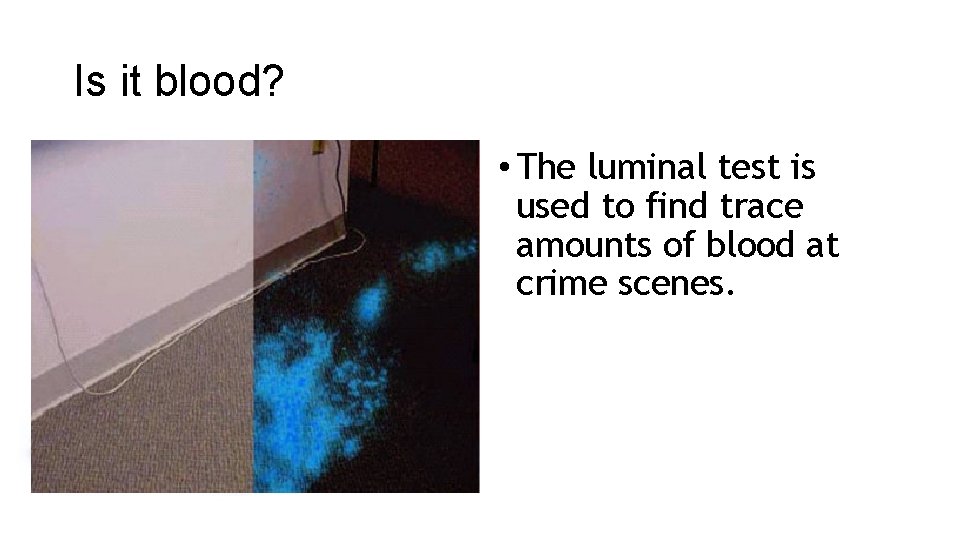 Is it blood? • The luminal test is used to find trace amounts of