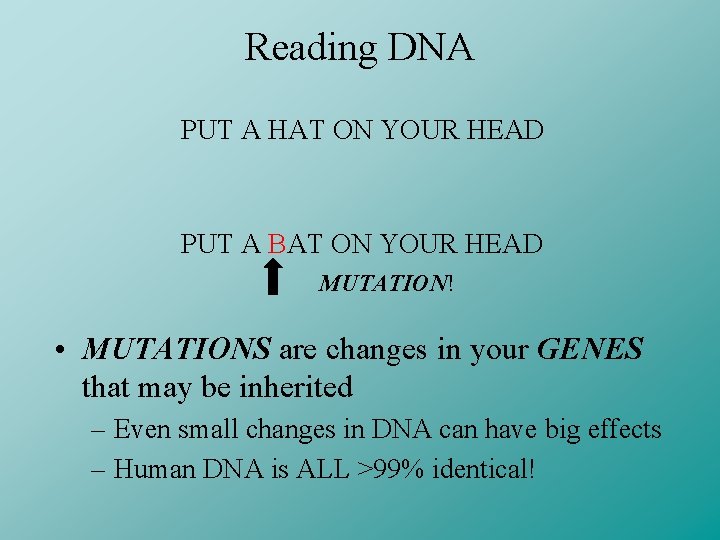 Reading DNA PUT A HAT ON YOUR HEAD PUT A BAT ON YOUR HEAD