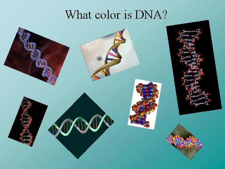 What color is DNA? 