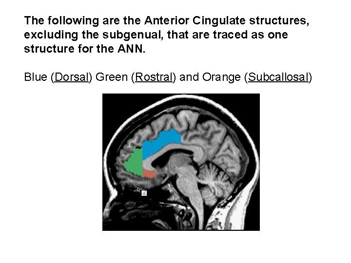 The following are the Anterior Cingulate structures, excluding the subgenual, that are traced as