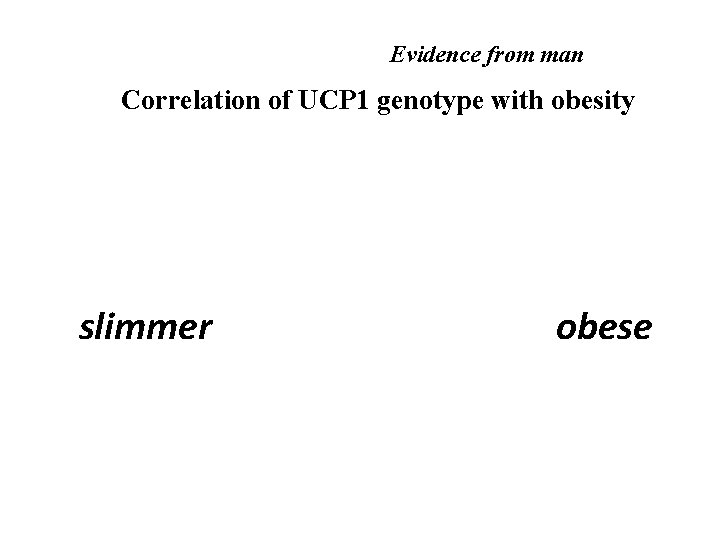 Evidence from man Correlation of UCP 1 genotype with obesity slimmer obese 
