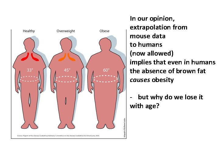 In our opinion, extrapolation from mouse data to humans (now allowed) implies that even