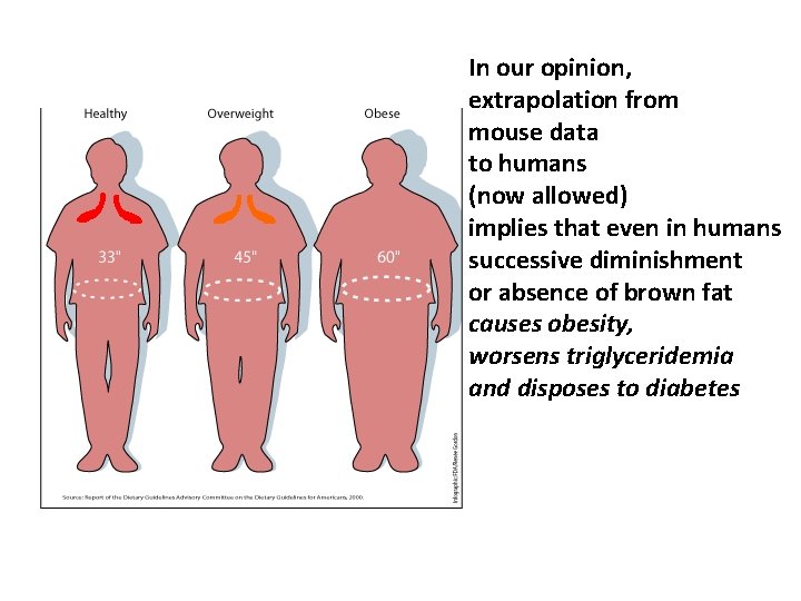 In our opinion, extrapolation from mouse data to humans (now allowed) implies that even